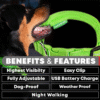 USB Rechargeable LED Pet Dog Collar Flashing Luminous Safety Light up Nylon UK