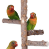 Bird Perch Nature Wood Stand for 3-4Pcs Small Medium Parrots (S-For Small Parrots)