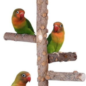 Bird Perch Nature Wood Stand for 3-4Pcs Small Medium Parrots (S-For Small Parrots)