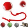 Interactive Rolling Ball for Dogs with Tail, Chase Mate Cat Toy, Electric Smart Automatic Rolling Pet Ball