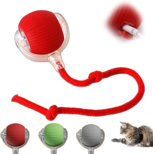 Interactive Rolling Ball for Dogs with Tail, Chase Mate Cat Toy, Electric Smart Automatic Rolling Pet Ball