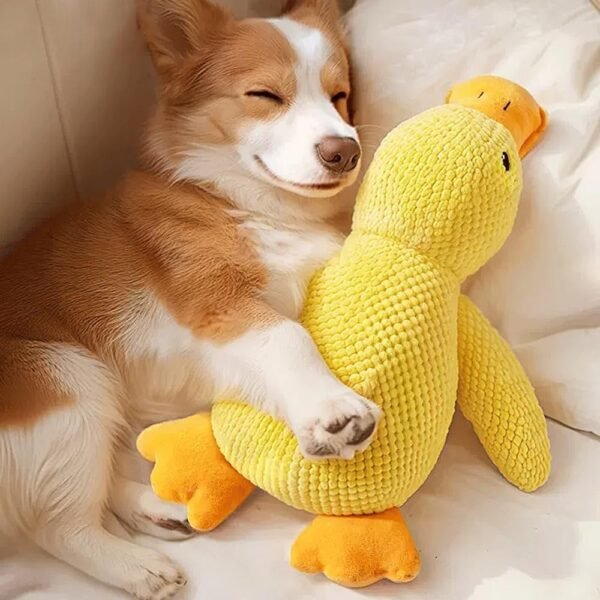 Plush Dog Toy for Large Dogs, Duck Squeaky Dog Toys, Soft Puppy Toy for Small Medium Large Dogs