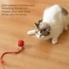 Interactive Rolling Ball for Dogs with Tail, Chase Mate Cat Toy, Electric Smart Automatic Rolling Pet Ball