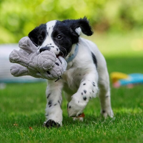 Petface (Little Petface) Freddi Cord, Plush Puppy Dog Toy